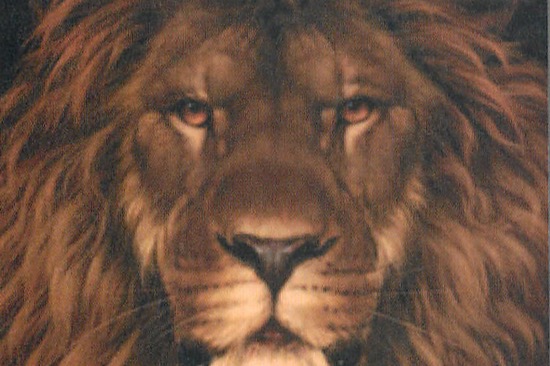 ライオンが逆になると…？